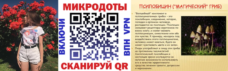 Купить где  Сураж  Псилоцибиновые грибы Cubensis 